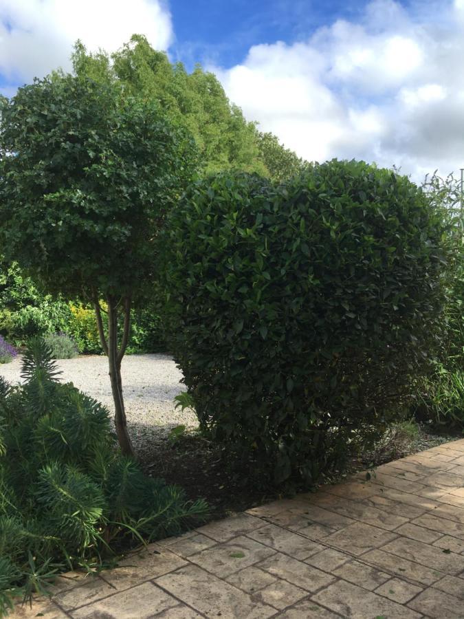 The Hawthornes Licensed Guest House Knottingly Esterno foto